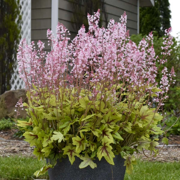 Fun And Games® 'Eye Spy' Foamy Bells 3 Fun And Games® 'Eye Spy' Foamy Bells - Image 3