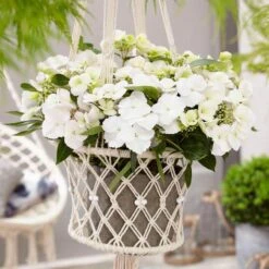 Fairytrail Bride™ Cascade Hydrangea™ -Flower Shop fairytrail bride cascading hydrangea 5 sw